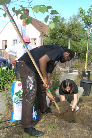 Brandon Holmes and Jessica Tudor plant a redbud tree behind the theater as Bonnie MacKenzie, a member of friends of the Cerrito Theater, ensures proper orientation